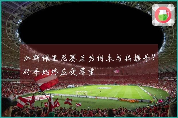 加斯佩里尼赛后为何未与我握手？对手始终应受尊重