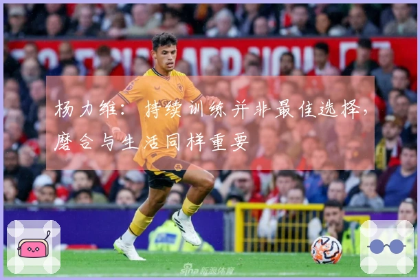 杨力维：持续训练并非最佳选择，磨合与生活同样重要